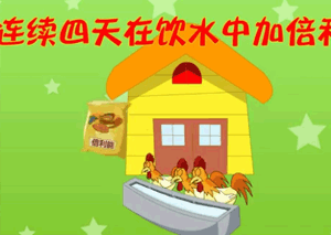 flash動(dòng)畫案例